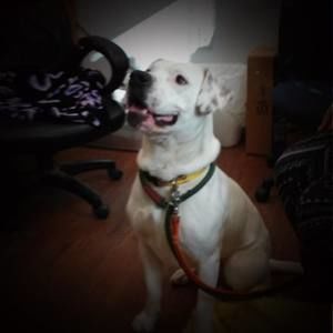 Meet your Posher, Sandra